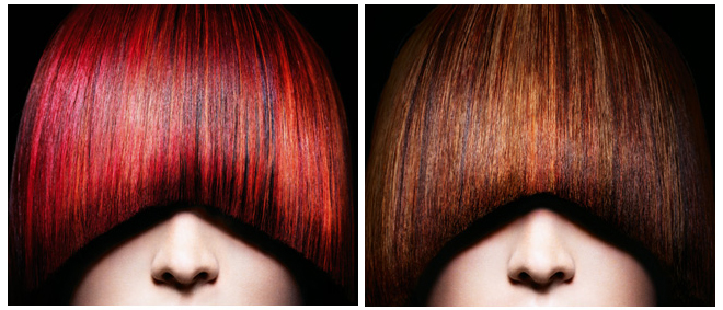 Палитра цветов Professional Igora Royal от Schwarzkopf